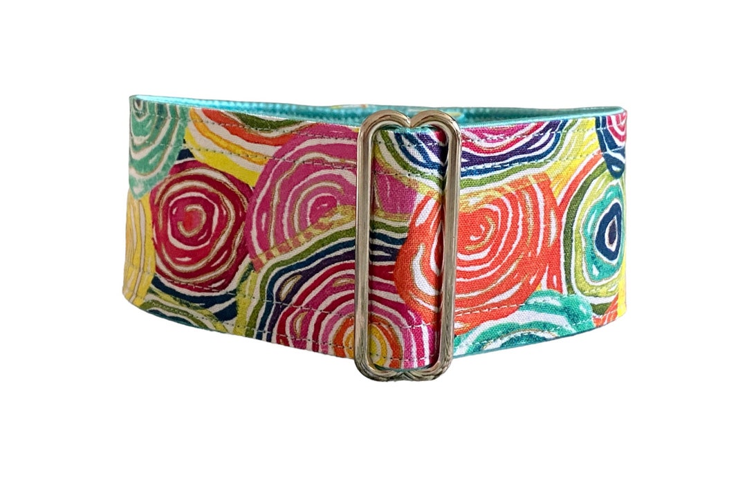 Buy Paraiso Collar (dog Collar, Greyhound Martingale, Colorful