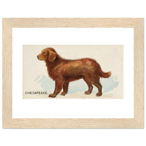 Chesapeake Bay Retriever Framed Print / 1890 Vintage Repro Wall Dog Art/ Framed Chessie Dog Lover Gift