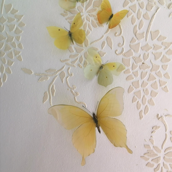 5 Luxury Life Like 3D Yellow Lemon Summer Butterflies Butterfly wall art Butterfly home decorations, bedroom nursery study drapes windows