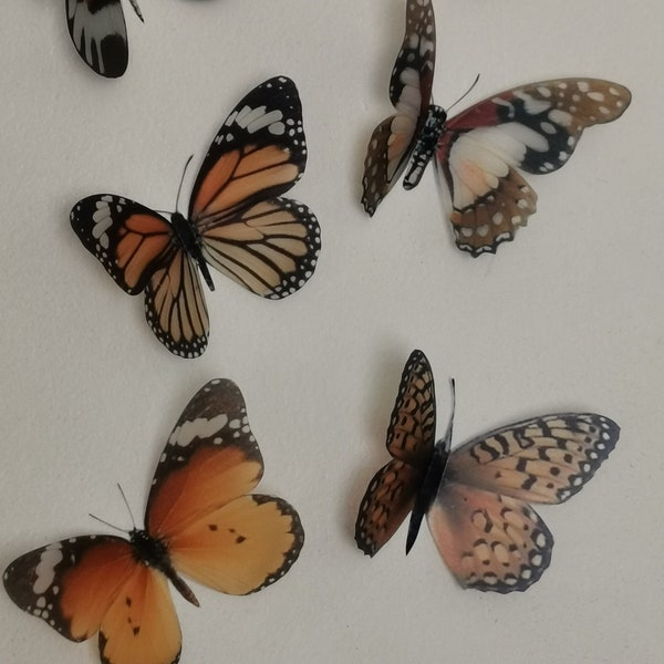 10 Natural 3D Butterflies Butterfly Picture Framing Wall Decorations Wedding Decorations Butterfly Props Butterfly Parties Butterfly Gifts
