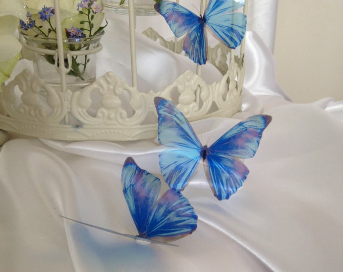 My Butterfly Love by MyButterflyLove on Etsy