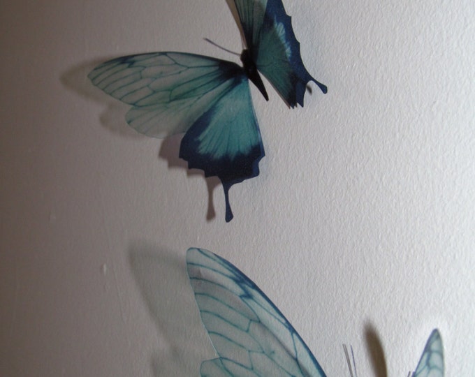 My Butterfly Love by MyButterflyLove on Etsy