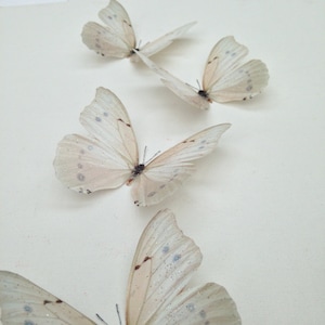 6 Luxus Elfenbein Creme Fliegen 3D Schmetterlinge Schlafzimmer Schmetterling Accessoires Tischdekoration Home Hochzeit Geschenke 10 cm / 4 &quot;&quot;handgemachte Geschenke&quot;
