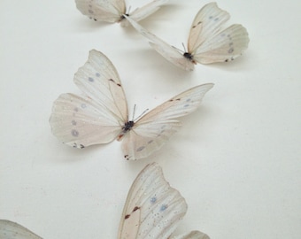 6 Luxury Ivory Cream Flying 3D Butterflies Bedroom Butterfly Accessories Table Decorations Home Wedding Gifts 10cm/ 4" each Hand Made Gifts