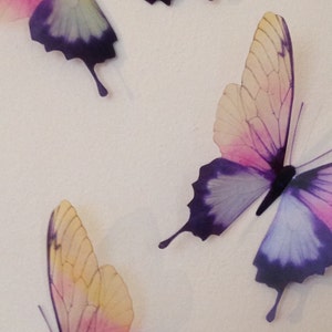 May include: Three decorative butterflies with purple, pink, and yellow wings. The butterflies are made of a translucent material and have a delicate, ethereal look.