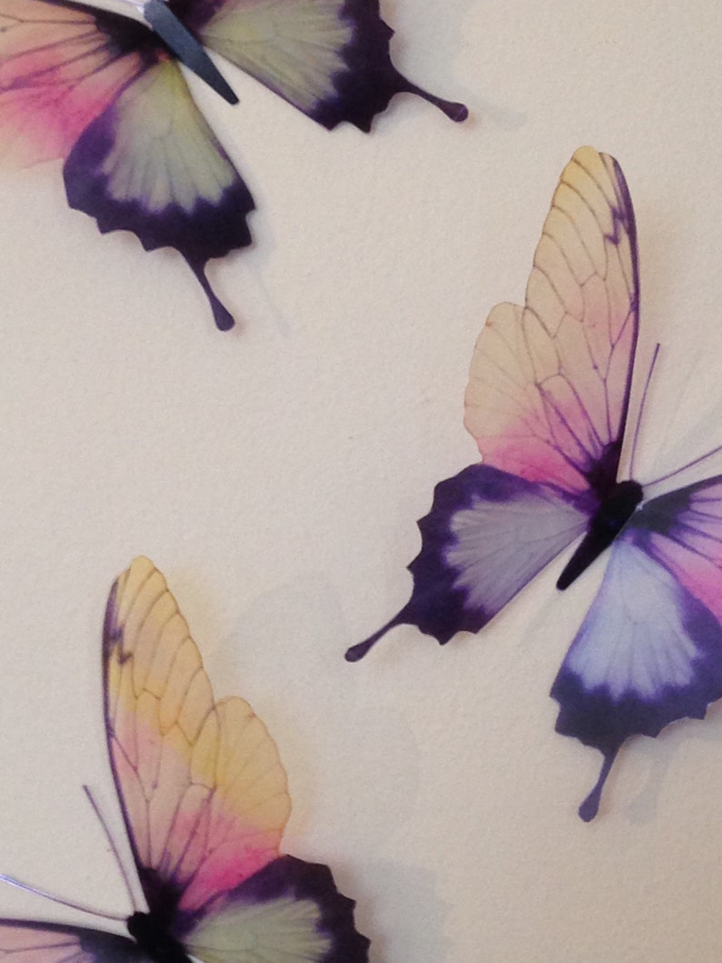 May include: Three decorative butterflies with purple, pink, and yellow wings. The butterflies are made of a translucent material and have a delicate, ethereal look.