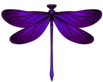 4 Deep Purple 3D Removable Dragonflies Dragonfly Wedding Decorations Dragonfly Dragonfly wall art decorations other colours available.
