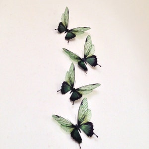 4 Olive Green tropical Butterflies Butterfly Wall Art Butterfly Weddings Butterfly Gifts Butterfly table decorations home Accessories