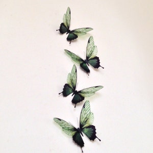 4 Olivgrüne tropische Schmetterlinge Schmetterling Wand Kunst Schmetterling Hochzeiten Schmetterling Geschenke Schmetterling Tischdekoration Wohnaccessoires