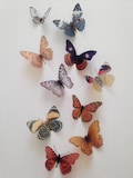 10 Natural 3D Butterflies Butterfly Picture Frames Home Wall Wedding Decorations Scrap booking Card Making DIY Hair accessories Baby Shower product logo