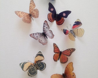 10 Natürliche 3D-Schmetterlinge Schmetterlings-Bilderrahmen Hauptwand-Hochzeitsdekorationen Scrap-Buchungskarte, die DIY Haarschmuck-Baby-Dusche macht