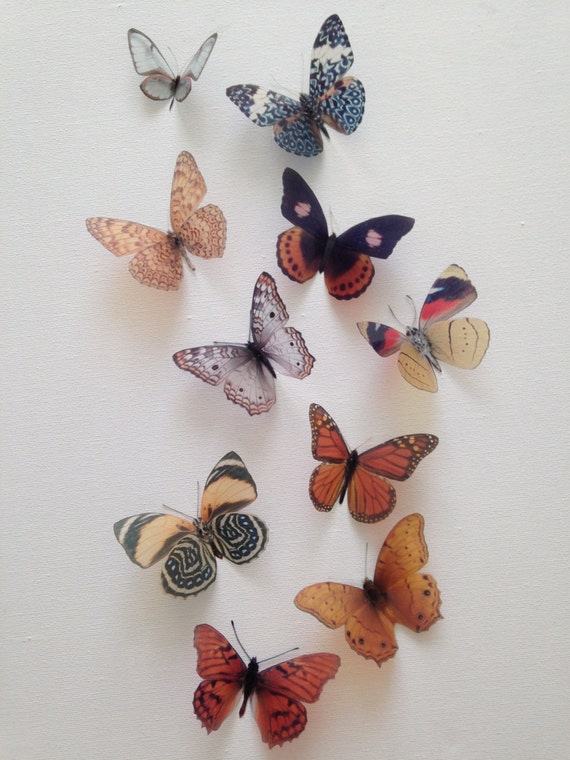 Download 10 Natural 3d Butterflies Butterfly Picture Frame Home Wall Etsy