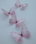6 Pastel baby Pink Girls Bedroom Wall Furniture 3d Flying Butterfly Accessories 4" each beautiful table Decorations Nursery Baby Shower Gift product logo