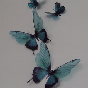 4 Luxury Amazing Teal Blue Butterflies 3D Butterfly Wall Art Any Colour Tropical Butterfly Framing Photography Props Wedding Decorations image 1