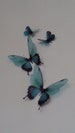 4 Luxury Amazing Teal Blue  Butterflies 3D  Butterfly Wall Art 