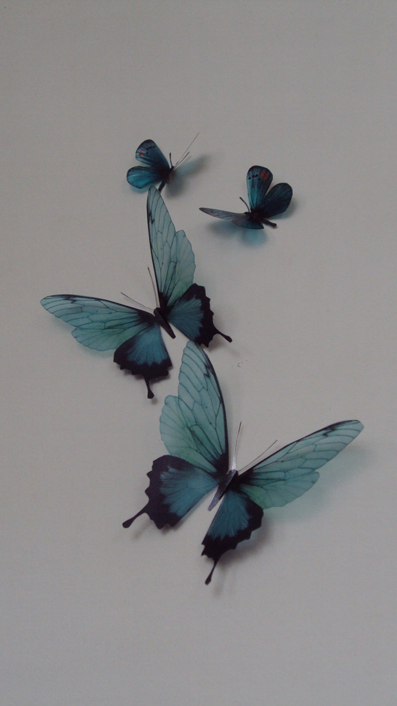 4 Luxury Amazing Teal Blue Butterflies 3D Butterfly Wall Art Any Colour Tropical Butterfly Framing Photography Props Wedding Decorations image 1