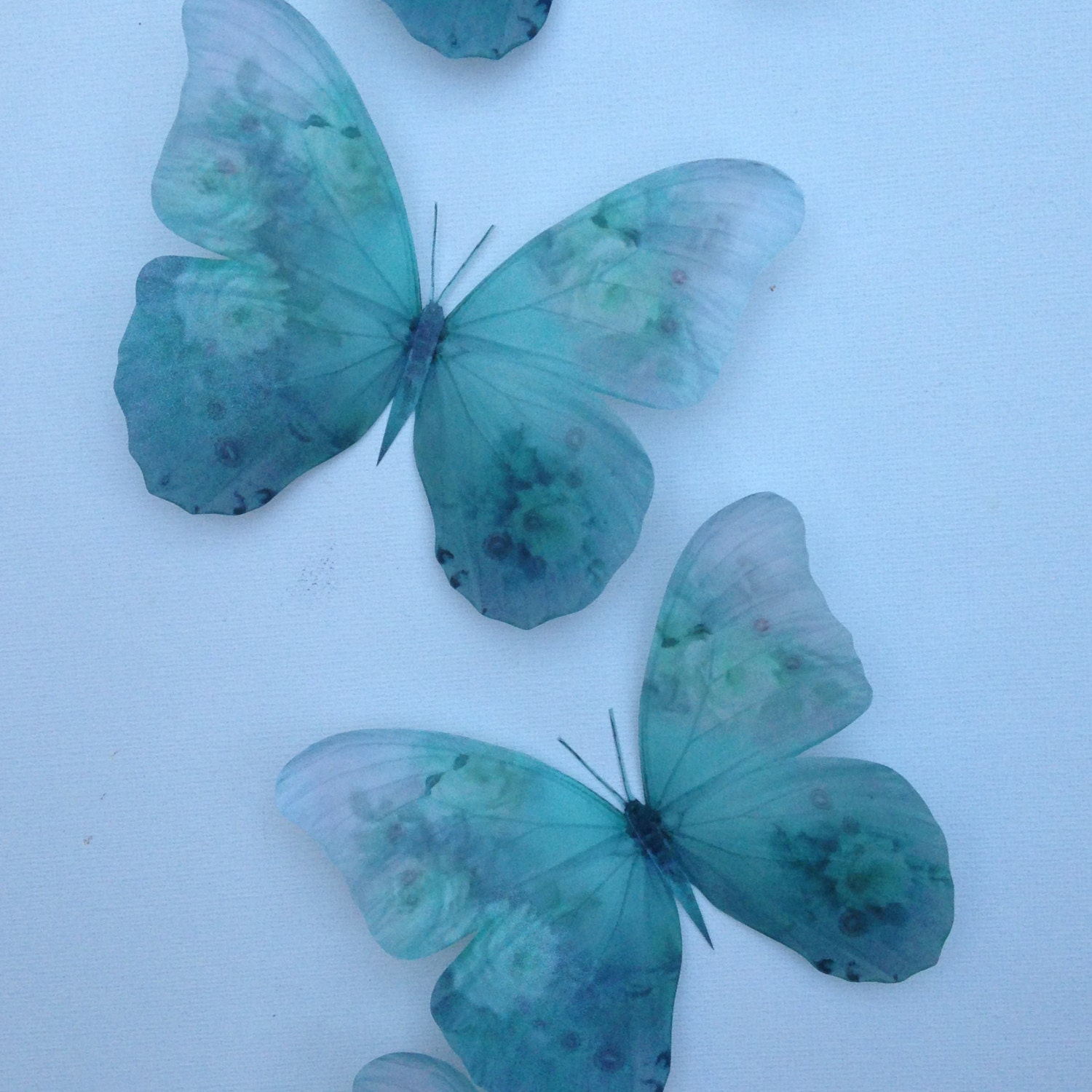 4 Stunning Duck Egg Blue Rose 3D Butterflies Butterfly Gifts Etsy UK