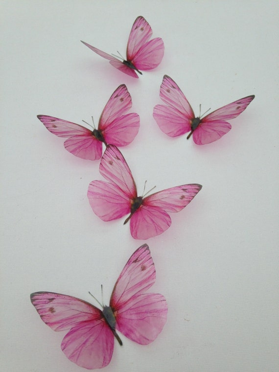 Wallpaper Butterfly Pink 3d