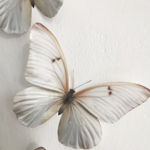 6 Luxury Ivory Cream Flying 3D Butterflies Bedroom Butterfly Accessories Table Decorations Home Wedding Gifts 10cm/ 4" each Hand Made Gifts