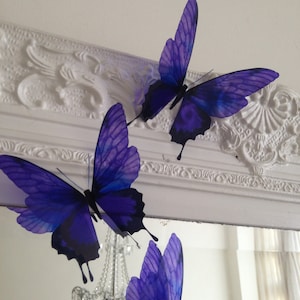 4 Luxury Amazing in Flight  Butterflies 3D  Butterfly Wall Art