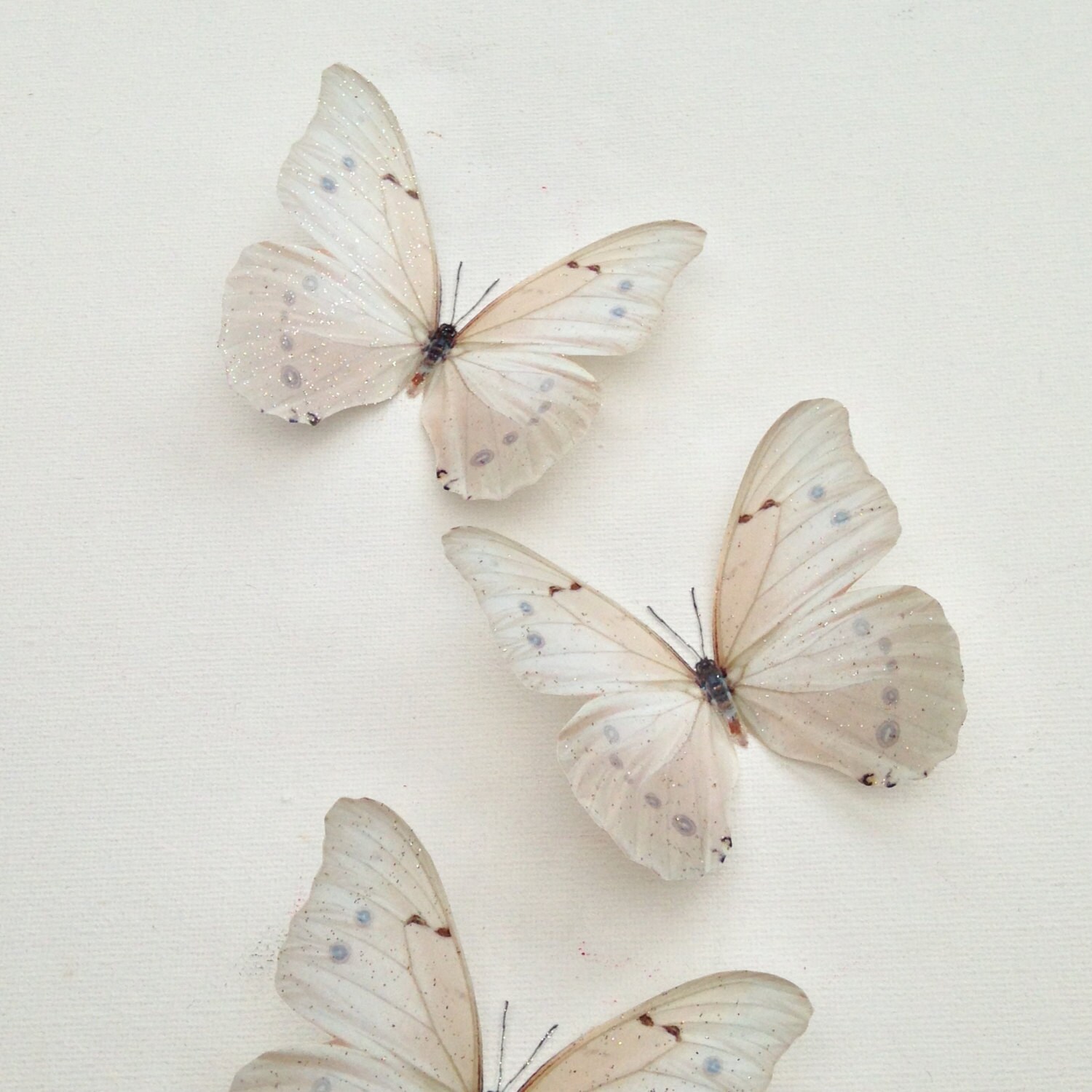 6 Luxury Ivory Cream Butterflies With a Touch of Sparkle | Etsy