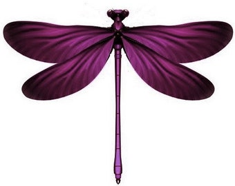 4 Deep Damson 3D Removable Dragonflies Dragonfly Wedding Decorations Dragonfly Dragonfly wall art decorations other colours available.