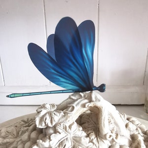 4 Teal Blue Luxury 3D Removable Dragonflies 4&quot; each Bedroom Mirror Furniture windows Picture framing Wedding venue Party Gift Just Gorgeous
