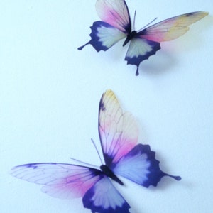 May include: Two delicate butterfly wall decals with translucent wings. The butterflies are a light pink and blue with dark purple outlines.