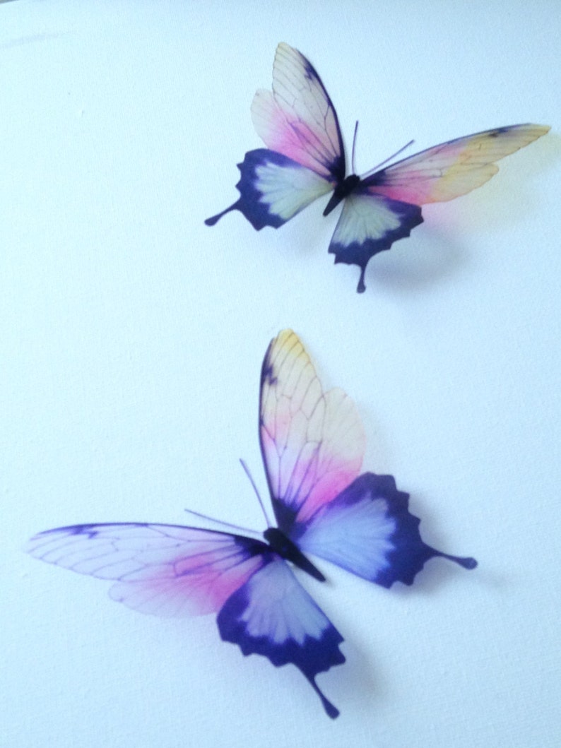 May include: Two delicate butterfly wall decals with translucent wings. The butterflies are a light pink and blue with dark purple outlines.