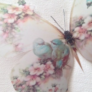 4 Shabby Chic Rosa Rose und Blaue Vögel 3D Schmetterlinge Schmetterling abnehmbare Aufkleber Home Decorations
