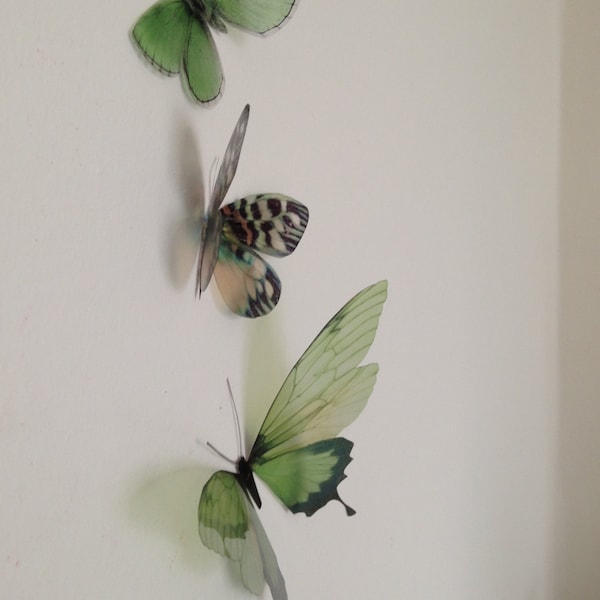 3 Reproduction tropicale de luxe Papillons verts 3D Papillon Accessoires pour la maison Art mural Papillon Encadrement Papillon Décorations de mariage