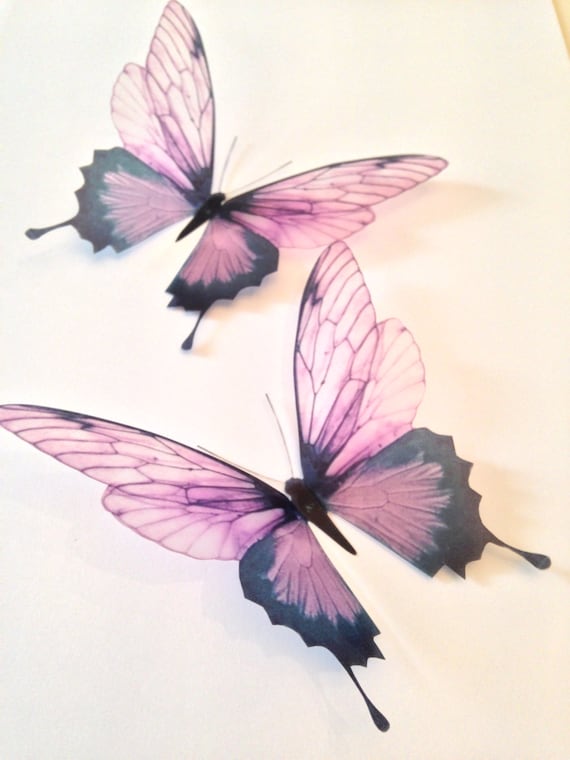 40 Pink Champagne 40D Butterflies Butterfly Decal Sticker Home Etsy Best Butterfly Home Decor Accessories 40 Pink Champagne 40D Butterflies Butterfly Decal Sticker Home Etsy Best Butterfly Home Decor Accessories