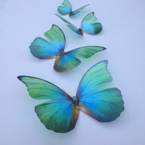 4 Natural Tropical Replica Blue & Green 3D Flying Removable Butterflies Butterfly Home Decorations Wall Art 3D Wall Decals Picture framing