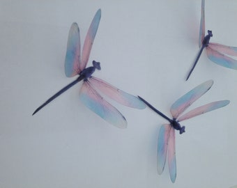 Dragonflies 6 Gorgeous Pastel Pink And Blue Dragonfly wall Art 3D Wall Decals Girls  Bedroom Wall Decals 3D Wedding Decorations 4" each