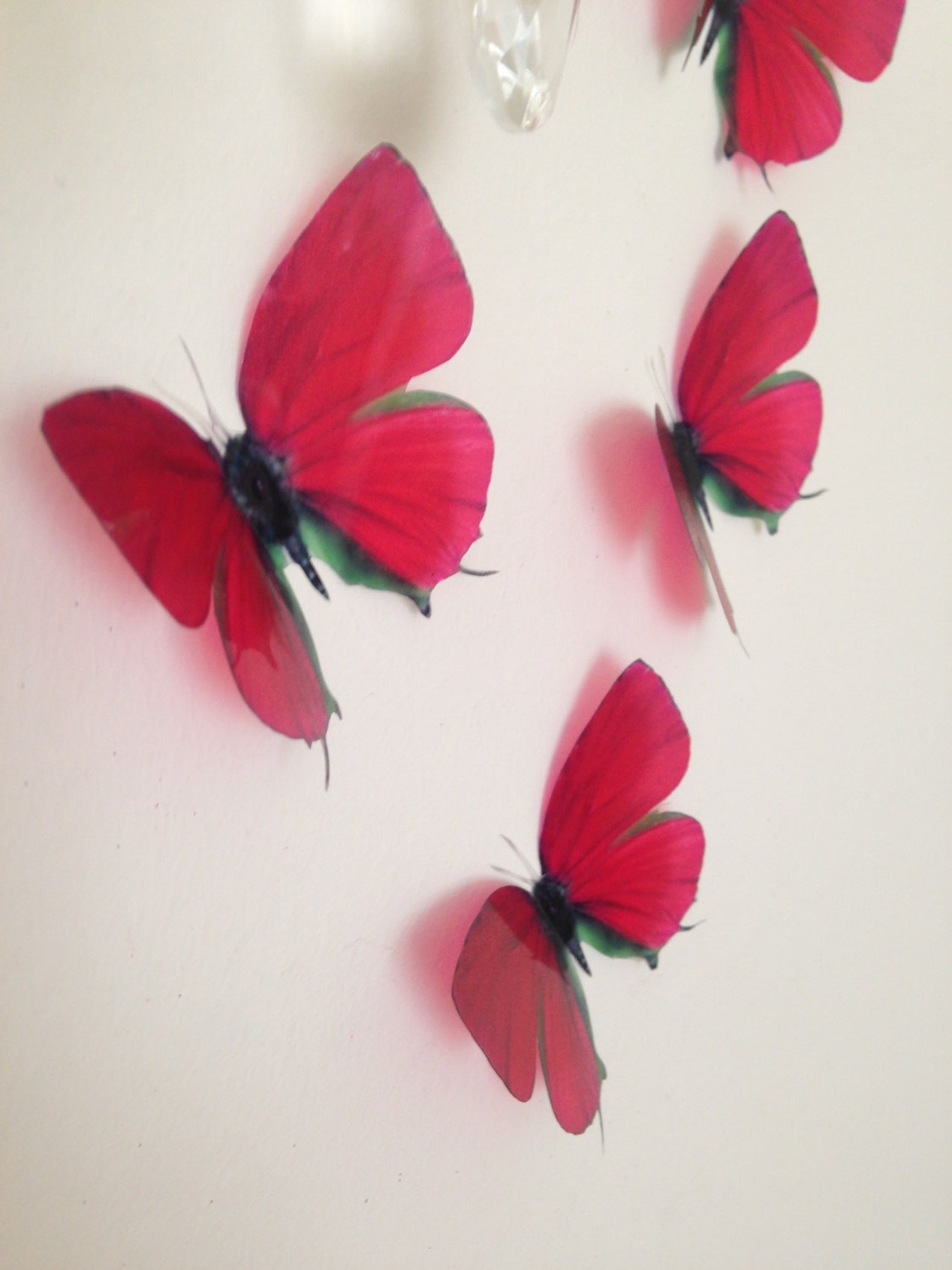 4Luxury Amazing in Flight Deep Red Wall Decal Picture Frame Etsy