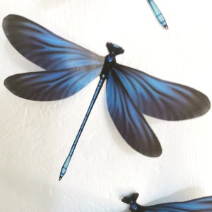 4  Blue 3D Removable Dragonflies Dragonfly Wedding Decorations Dragonfly backdrop Dragonfly wall art decorations other colours available.