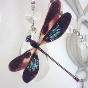 4 Flying Green and brown Dragonflies 3D Removable Dragonfly Decorations Wedding Table Decorations Picture Framing Photography props  4&quot; Each