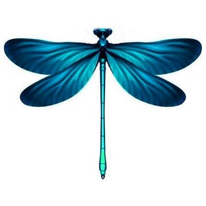 4 Teal Blue 3D Removable Dragonflies Dragonfly Wedding Decorations Dragonfly Dragonfly wall art decorations other colours available.