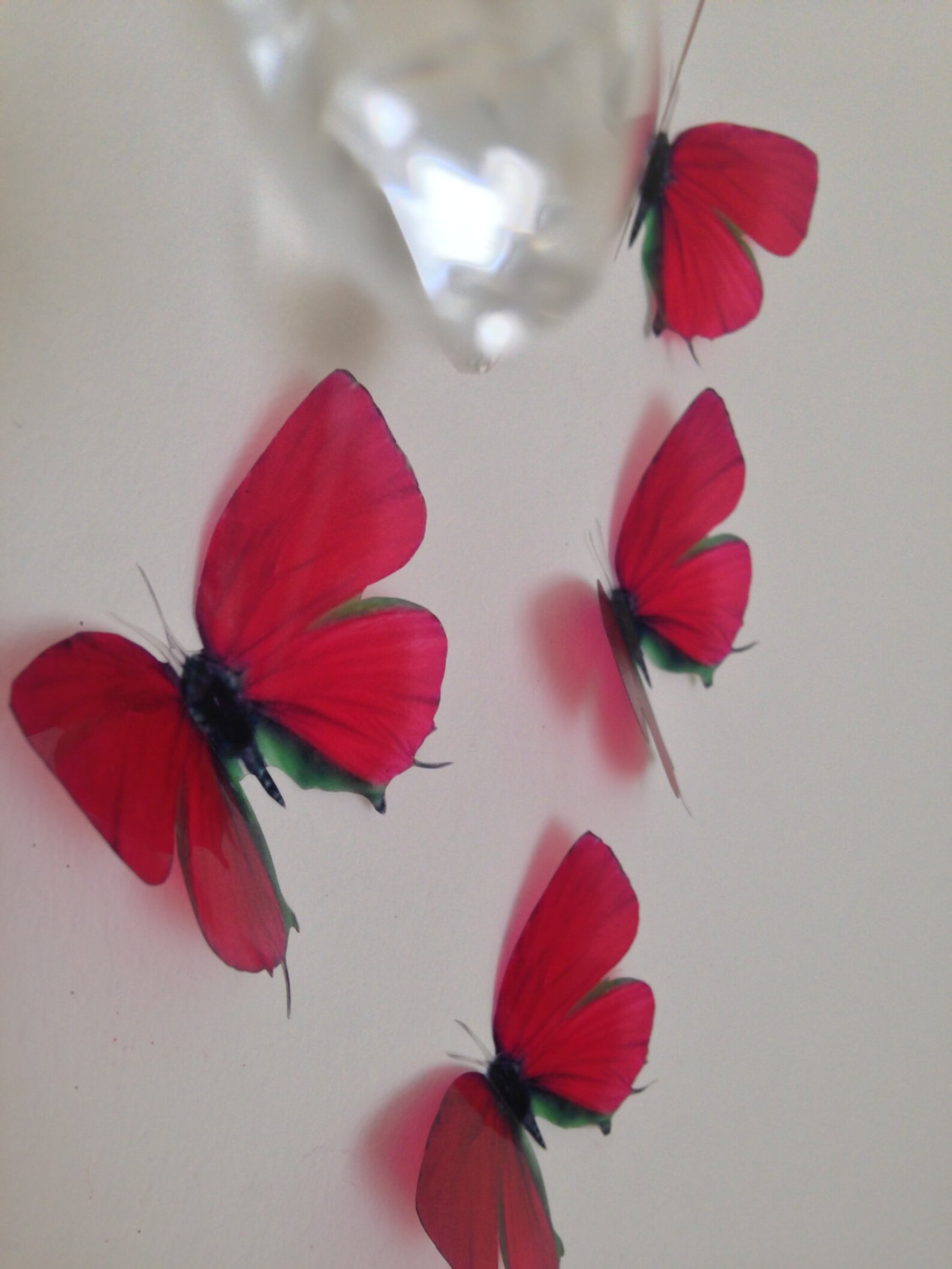 4Luxury Amazing in Flight Deep Red Wall Decal Picture Frame Etsy