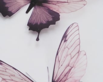 3D Butterfly Wall Art Set: Natural Acetate Home Decor (11cm)