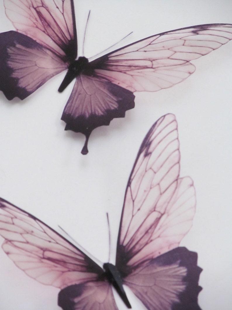 3 Luxury Amazing in Flight  Butterflies 3D  Butterfly Wall Art image 1
