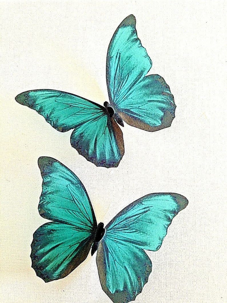4 Stunning in Flight Teal Blue Butterflies 3D Butterfly Wall Etsy