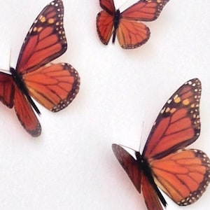 May include: Three orange and black monarch butterflies with brown veins on their wings. The butterflies are arranged in a triangular pattern on a white background.