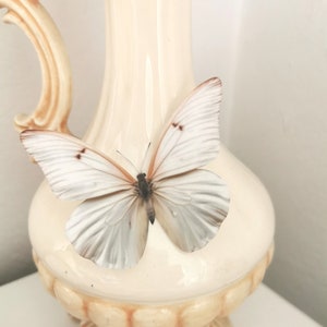 6 Luxury Ivory Cream Wedding 3D Butterflies Wedding Butterfly Decorations Table Decorations Wedding Gifts 10cm/ 4&quot; each Hand Made Gifts