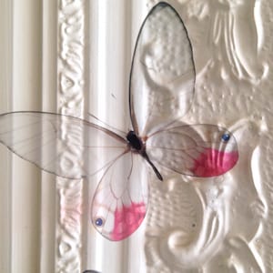 4 Natural 3D Glasswing Butterflies Transparent Replicas Home Wall Decorations Home decor, Childrens bedroom