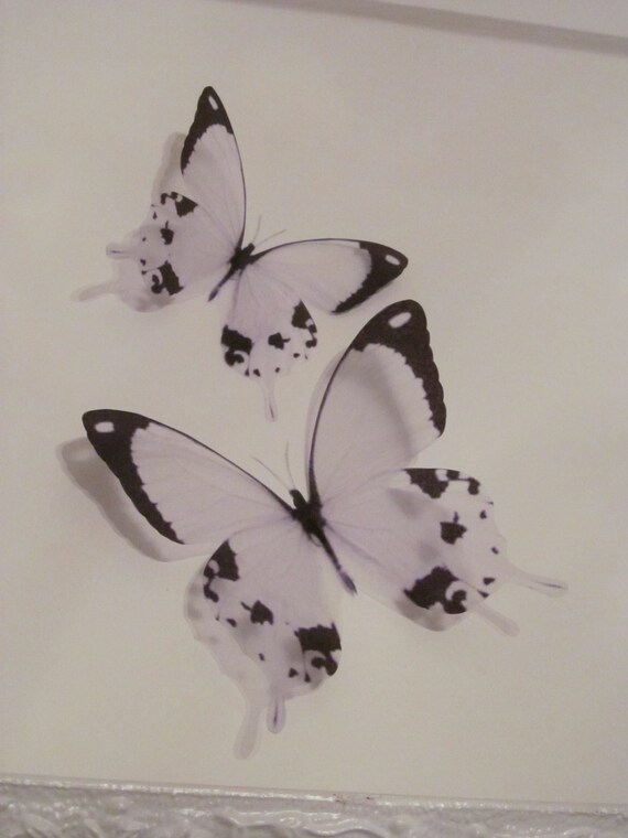 4 Luxury Amazing In Flight Cow Print Butterflies 3d Butterfly Etsy 1,375 butterfly drawing products are offered for sale by suppliers on alibaba.com, of which valves accounts for 9%, bolts accounts for 1%, and other home decor accounts for 1%. 4 luxury amazing in flight cow print butterflies 3d butterfly wall art