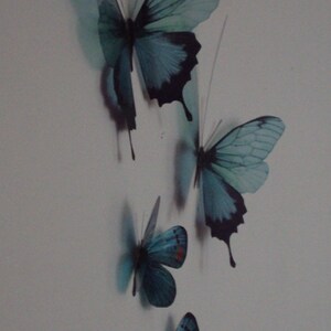 4 Luxury Amazing Teal Blue Butterflies 3D Butterfly Wall Art Any Colour Tropical Butterfly Framing Photography Props Wedding Decorations image 3