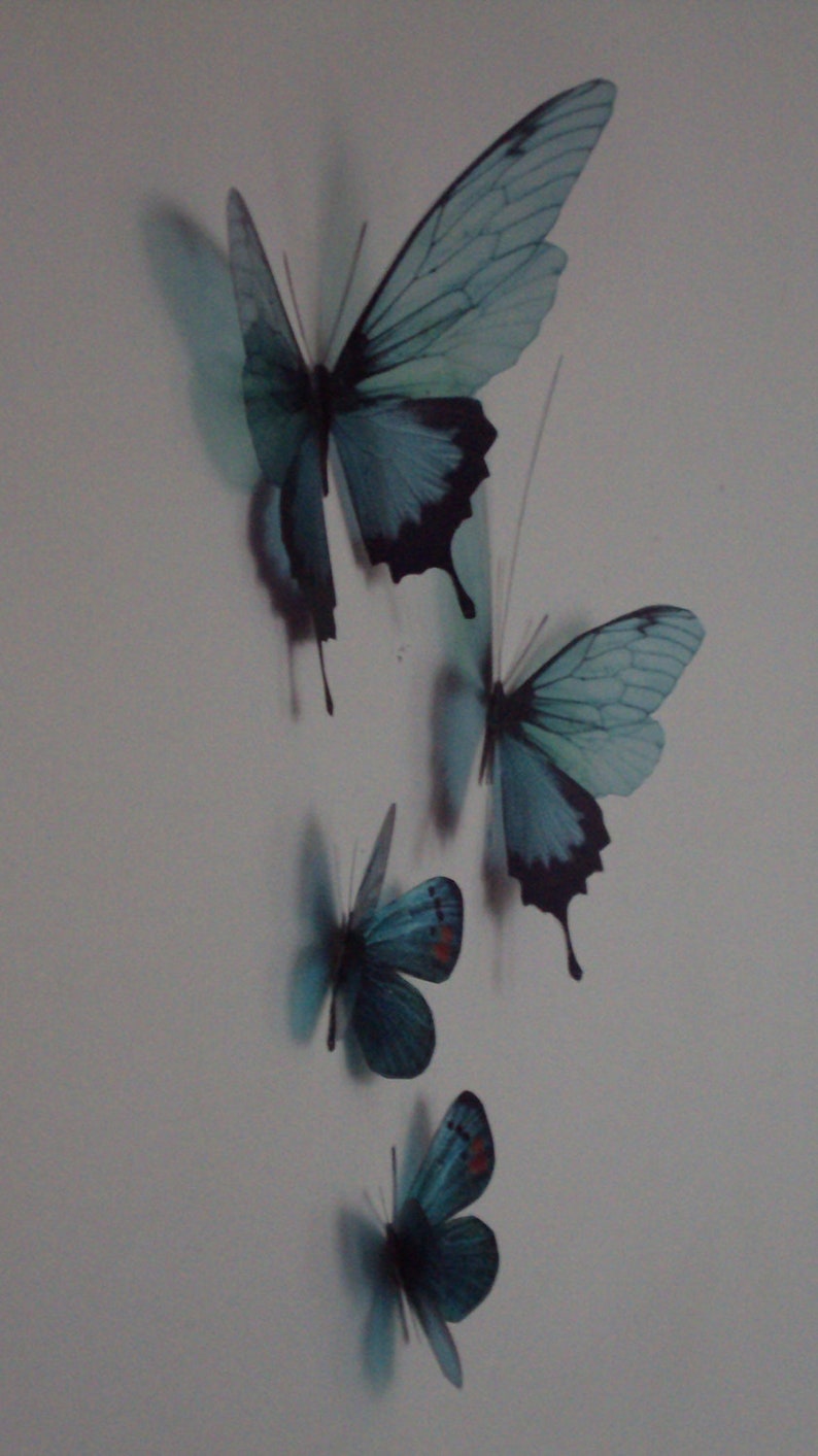 4 Luxury Amazing Teal Blue Butterflies 3D Butterfly Wall Art Any Colour Tropical Butterfly Framing Photography Props Wedding Decorations image 3