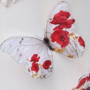 4 Beautiful  Red Poppy Butterflies Table Wedding Bedroom Picture Frame Accessories