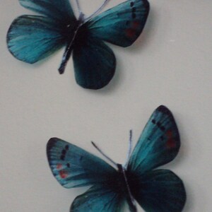 4 Luxury Amazing Teal Blue Butterflies 3D Butterfly Wall Art Any Colour Tropical Butterfly Framing Photography Props Wedding Decorations image 5